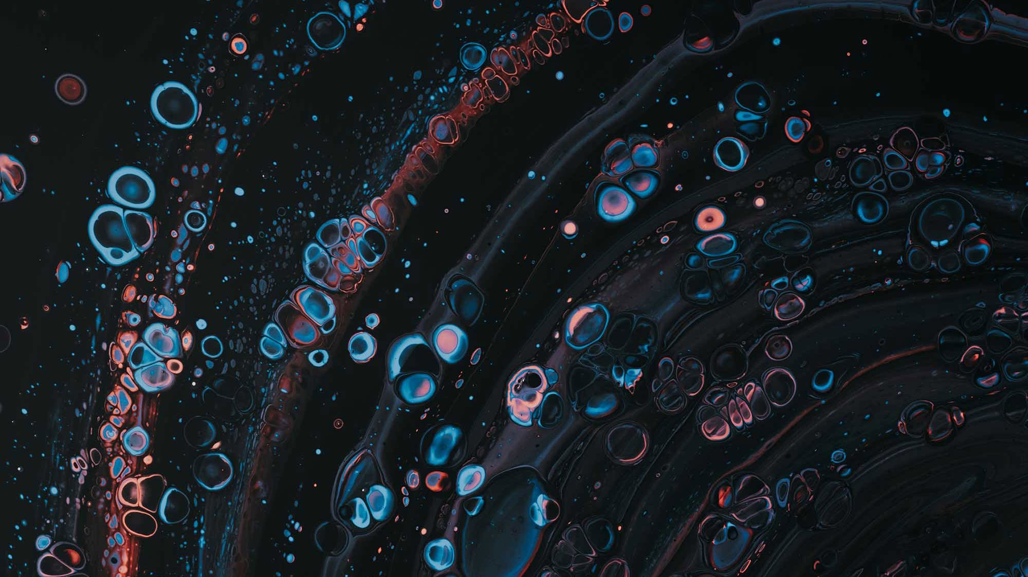 Paint